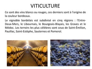 VITICULTURE
Ce sont des vins blancs ou rouges, ces derniers sont à l'origine de
la couleur bordeaux.
Le vignoble bordelais est subdivisé en cinq régions : l'Entre-
Deux-Mers, le Libournais, le Bourgeais-Blayais, les Graves et le
Médoc. Les terroirs les plus célèbres sont ceux de Saint-Émilion,
Pauillac, Saint-Estèphe, Sauternes et Pomerol.
 