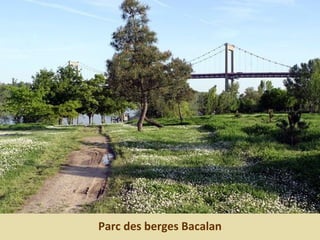 Parc des berges Bacalan
 