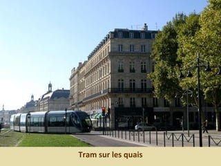 Tram sur les quais
 