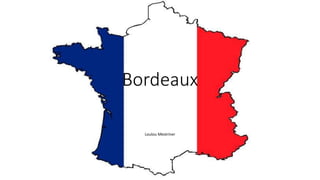 Bordeaux
Loulou Mestriner
 
