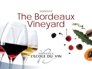 The Bordeaux
Vineyard
WORKSHOP
WORKSHOP
The Bordeaux
Vineyard
 