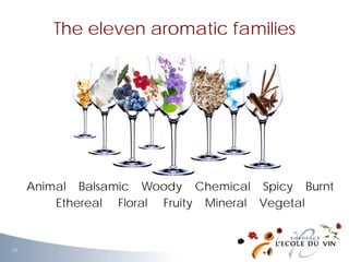Animal Balsamic Woody Chemical Spicy Burnt
Ethereal Floral Fruity Mineral Vegetal
The eleven aromatic families
10
 