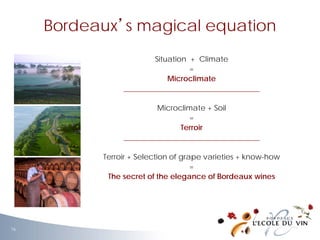 Situation + Climate
=
Microclimate
____________________________________
Microclimate + Soil
=
Terroir
____________________________________
Terroir + Selection of grape varieties + know-how
=
The secret of the elegance of Bordeaux wines
Bordeaux’s magical equation
16
 