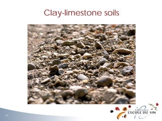 Clay-limestone soils
20
 
