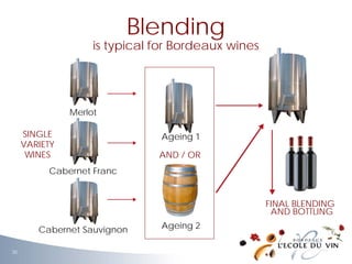 Merlot
Cabernet Franc
Cabernet Sauvignon
SINGLE
VARIETY
WINES
Ageing 1
Ageing 2
FINAL BLENDING
AND BOTTLING
AND / OR
Blending
is typical for Bordeaux wines
30
 