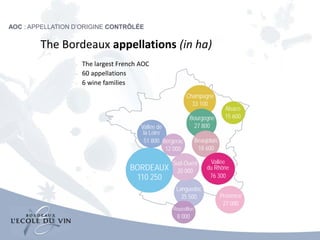 Champagne
33 100
Bourgogne
27 800
Beaujolais
18 600
Vallée
du Rhône
76 300
Provence
27 000
Bergerac
12 000
Vallée de
la Loire
51 800
Sud-Ouest
20 000
Languedoc
35 500
Roussillon
8 000
BORDEAUX
110 250
Alsace
15 600
The Bordeaux appellations (in ha)
 The largest French AOC
 60 appellations
 6 wine families
AOC : APPELLATION D’ORIGINE CONTRÔLÉE
 