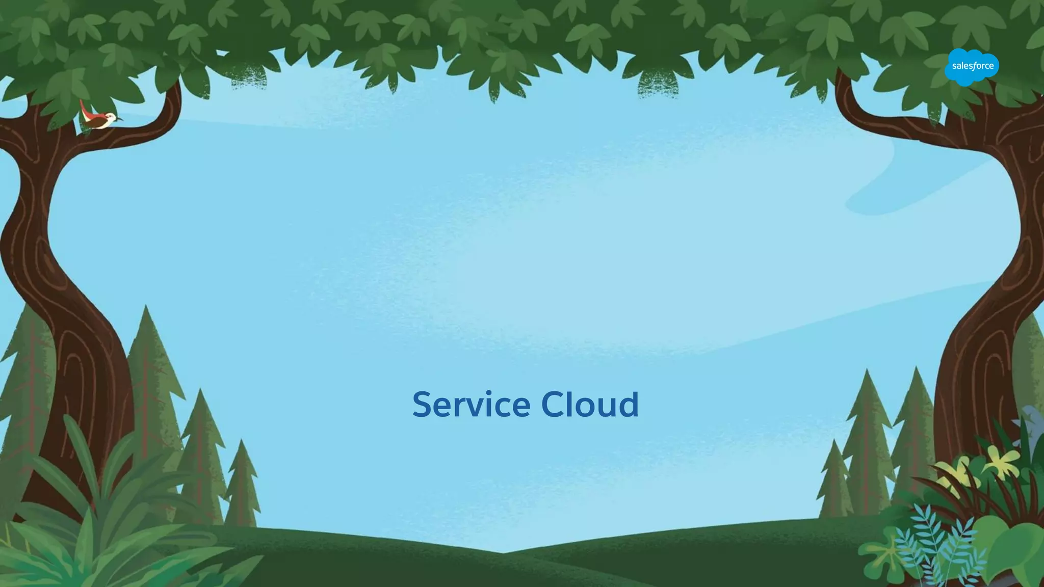 Service Cloud
 