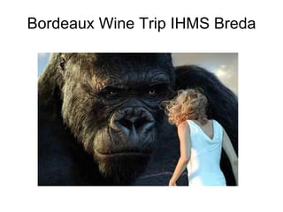 Bordeaux Wine Trip IHMS Breda 