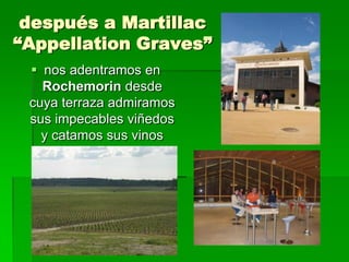 después a Martillac
“Appellation Graves”
  nos adentramos en
   Rochemorin desde
 cuya terraza admiramos
 sus impecables viñedos
   y catamos sus vinos
 