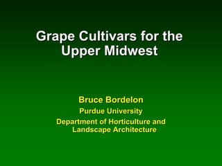 Grape Cultivars for the
Upper Midwest

Bruce Bordelon
Purdue University
Department of Horticulture and
Landscape Architecture

 