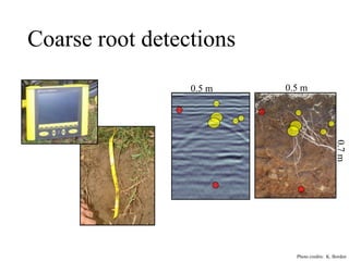 Session 5.2 Agroforestry Systems: Quantification of Tree Root ...