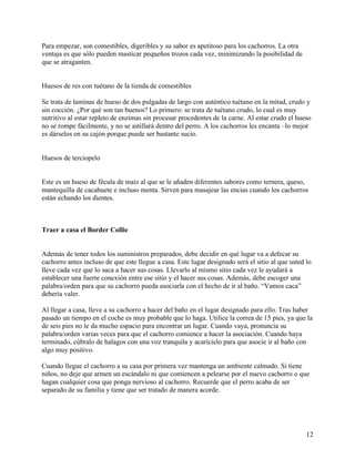 Border Collie guía | PDF
