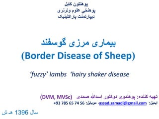 ‫گوسفند‬ ‫مرزی‬ ‫بیماری‬
(Border Disease of Sheep)
‫کننده‬ ‫تهیه‬:‫صمدی‬ ‫اسدهللا‬ ‫دوکتور‬ ‫پوهندوی‬(DVM, MVSc)
‫ایمیل‬:assad.samadi@gmail.com‫موبایل‬ ،:+93 785 65 74 56
‫کابل‬ ‫پوهنتون‬
‫وترنری‬ ‫علوم‬ ‫ی‬ً‫پوهنح‬
‫پاراکلینیک‬ ‫دیپارتمنت‬
‘fuzzy’ lambs ‘hairy shaker disease
‫سال‬1396‫ش‬ ‫هـ‬
 