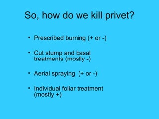 So, how do we kill privet?

• Prescribed burning (+ or -)

• Cut stump and basal
  treatments (mostly -)

• Aerial spraying (+ or -)

• Individual foliar treatment
  (mostly +)
 