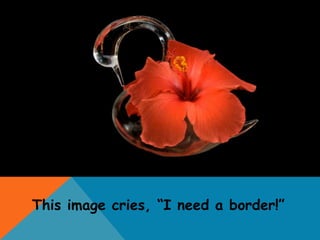 This image cries, “I need a border!”