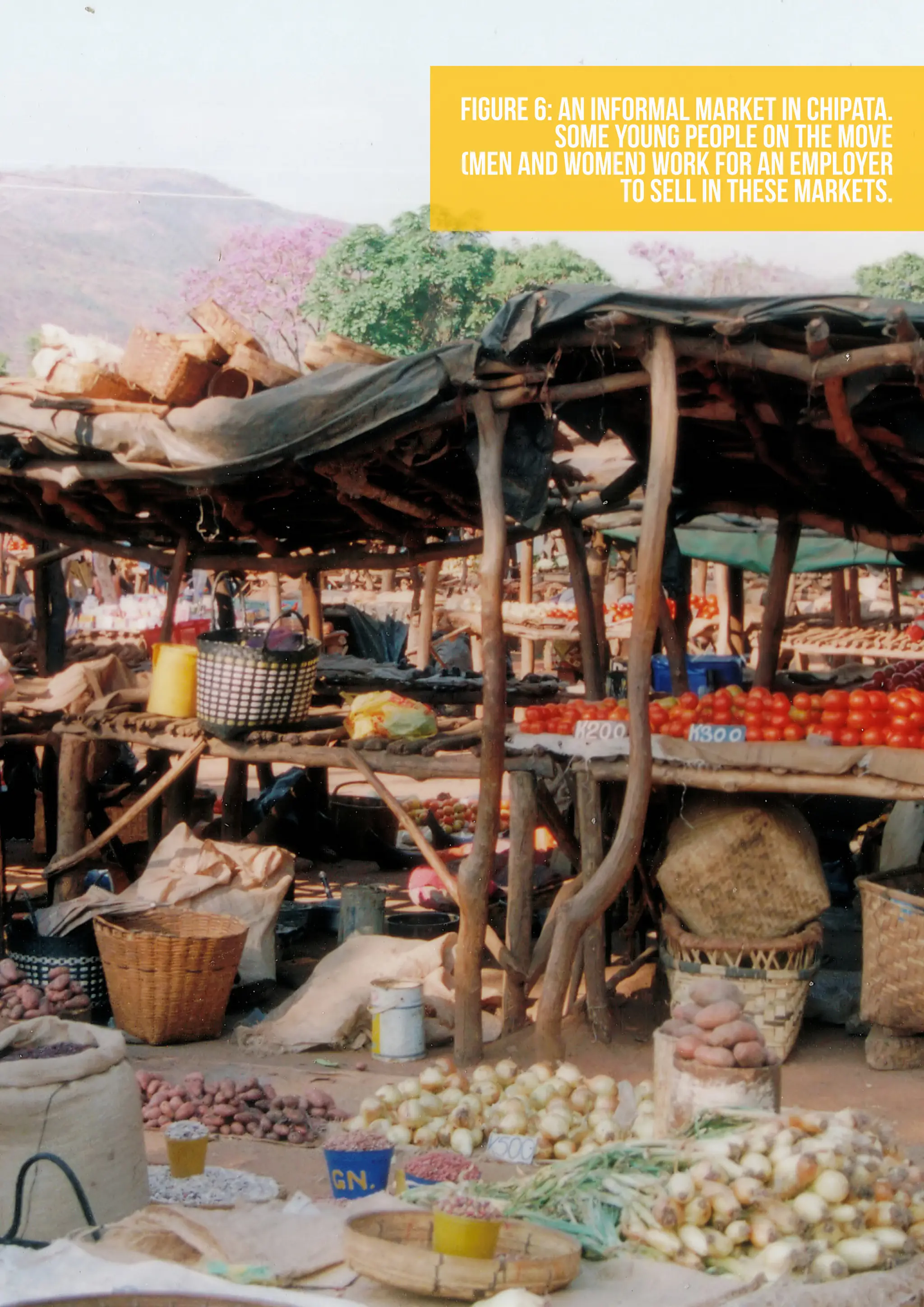29
Figure 6: An informal market in Chipata.
Some young people on the move
(men and women) work for an employer
to sell in these markets.
 