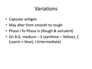 Variations
• Capsular antigen
• May alter from smooth to rough
• Phase I To Phase iv (Rough & avirulent)
• On B.G. medium – X (xanthine – Yellow), C
(cyanic = blue), I (intermediate)
 
