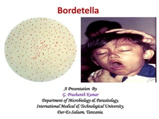 Bordetella
A Presentation By
G. Prashanth Kumar
Department of Microbiology & Parasitology,
International Medical & Technological University,
Dar-Es-Salaam, Tanzania.
 