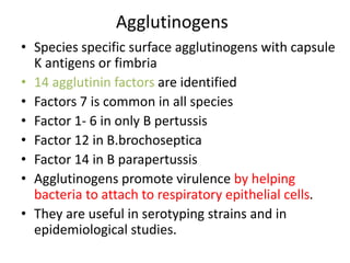 Agglutinogens
• Species specific surface agglutinogens with capsule
K antigens or fimbria
• 14 agglutinin factors are identified
• Factors 7 is common in all species
• Factor 1- 6 in only B pertussis
• Factor 12 in B.brochoseptica
• Factor 14 in B parapertussis
• Agglutinogens promote virulence by helping
bacteria to attach to respiratory epithelial cells.
• They are useful in serotyping strains and in
epidemiological studies.
 