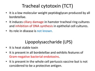 Tracheal cytotoxin (TCT)
• It is a low molecular weight peptidoglycan produced by all
bordetellae.
• It induces ciliary damage in hamster tracheal ring cultures
and inhibition of DNA synthesis in epithelial cell cultures.
• Its role in disease is not known.
Lipopolysaccharide (LPS)
• It is heat stable toxin
• It is present in all bordetellae and exhibits features of
Gram-negative bacterial endotoxins.
• It is present in the whole cell pertussis vaccine but is not
considered to be a protective antigen.
 
