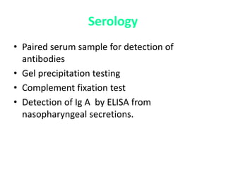 Serology
• Paired serum sample for detection of
antibodies
• Gel precipitation testing
• Complement fixation test
• Detection of Ig A by ELISA from
nasopharyngeal secretions.
 