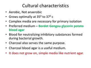 Cultural characteristics
• Aerobic, Not anaerobic
• Grows optimally at 350 to 370 c
• Complex media are necessary for primary isolation
• Preferred medium – Bordet Gengou glycerin potato
blood agar
• Blood for neutralizing inhibitory substances formed
during bacterial growth.
• Charcoal also serves the same purpose.
• Charcoal blood agar is a useful medium.
• It does not grow on, simple media like nutrient agar.
 