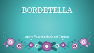 BORDETELLA
Anaya Vázquez María del Carmen
 