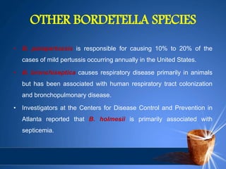 OTHER BORDETELLA SPECIES
• B. parapertussis is responsible for causing 10% to 20% of the
cases of mild pertussis occurring annually in the United States.
• B. bronchiseptica causes respiratory disease primarily in animals
but has been associated with human respiratory tract colonization
and bronchopulmonary disease.
• Investigators at the Centers for Disease Control and Prevention in
Atlanta reported that B. holmesii is primarily associated with
septicemia.
 