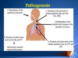 Pathogenesis
 