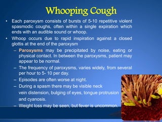 Whooping Cough
• Each paroxysm consists of bursts of 5-10 repetitive violent
spasmodic coughs, often within a single expiration which
ends with an audible sound or whoop.
• Whoop occurs due to rapid inspiration against a closed
glottis at the end of the paroxysm
– Paroxysms may be precipitated by noise, eating or
physical contact. In between the paroxysms, patient may
appear to be normal.
– The frequency of paroxysms, varies widely, from severaI
per hour to 5- 10 per day.
– Episodes are often worse at night.
– During a spasm there may be visible neck
vein distension, bulging of eyes, tongue protrusion
and cyanosis.
– Weight loss may be seen, but fever is uncommon.
 