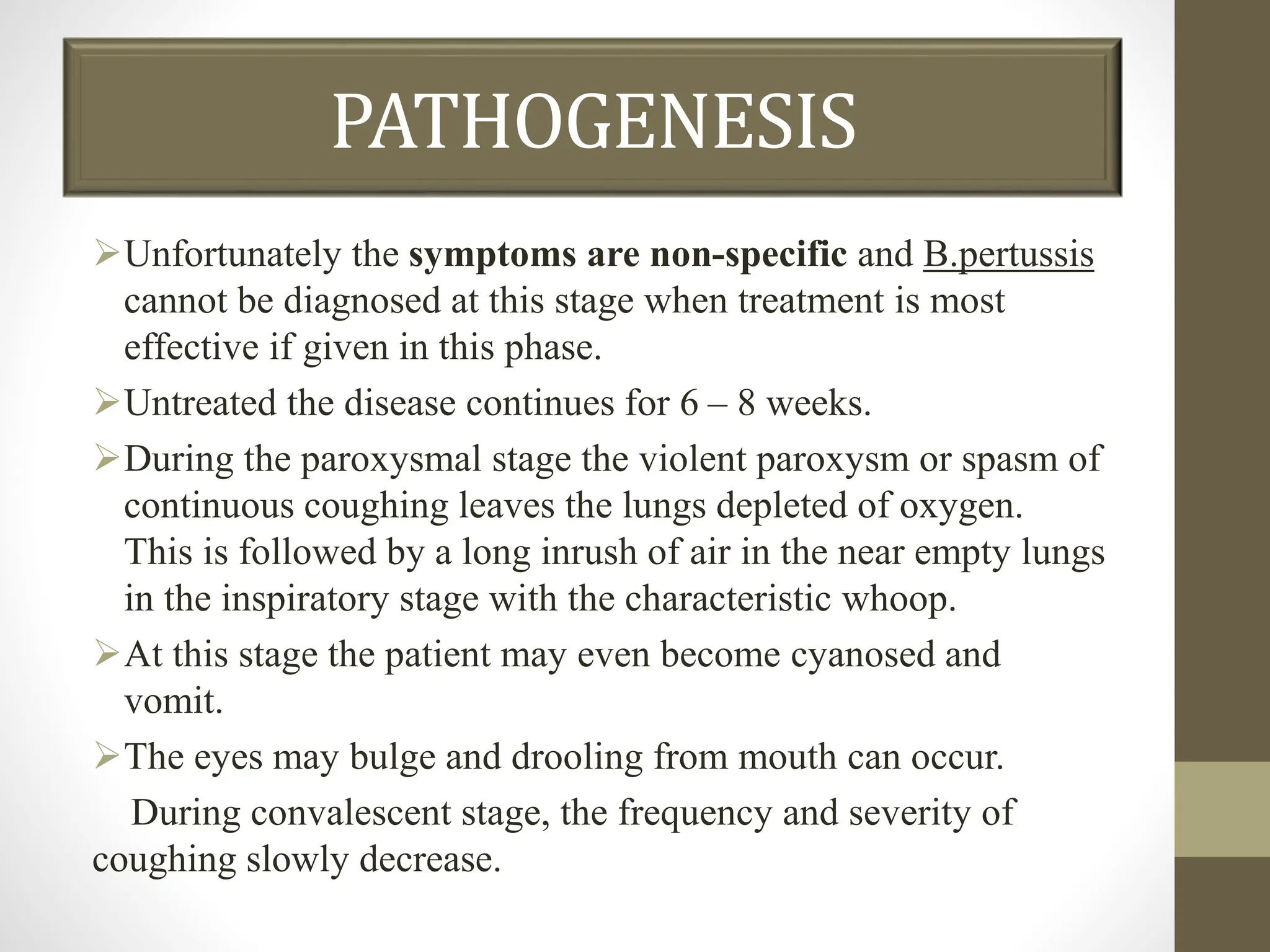 PATHOGENESIS
Unfortunately the symptoms are non-specific and B.pertussis
cannot be diagnosed at this stage when treatment is most
effective if given in this phase.
Untreated the disease continues for 6 – 8 weeks.
During the paroxysmal stage the violent paroxysm or spasm of
continuous coughing leaves the lungs depleted of oxygen.
This is followed by a long inrush of air in the near empty lungs
in the inspiratory stage with the characteristic whoop.
At this stage the patient may even become cyanosed and
vomit.
The eyes may bulge and drooling from mouth can occur.
During convalescent stage, the frequency and severity of
coughing slowly decrease.
 