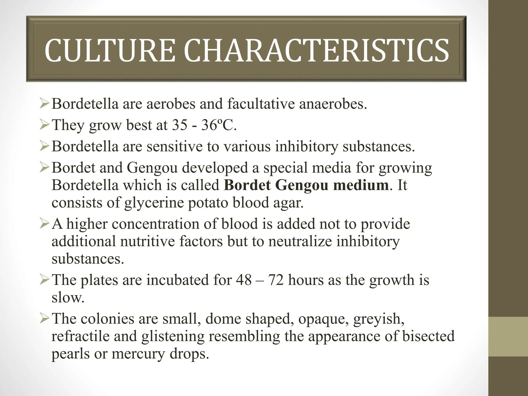CULTURE CHARACTERISTICS
Bordetella are aerobes and facultative anaerobes.
They grow best at 35 - 36ºC.
Bordetella are sensitive to various inhibitory substances.
Bordet and Gengou developed a special media for growing
Bordetella which is called Bordet Gengou medium. It
consists of glycerine potato blood agar.
A higher concentration of blood is added not to provide
additional nutritive factors but to neutralize inhibitory
substances.
The plates are incubated for 48 – 72 hours as the growth is
slow.
The colonies are small, dome shaped, opaque, greyish,
refractile and glistening resembling the appearance of bisected
pearls or mercury drops.
 