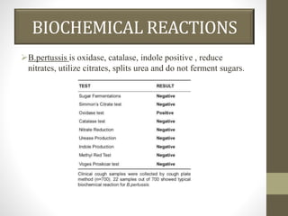 BIOCHEMICAL REACTIONS
B.pertussis is oxidase, catalase, indole positive , reduce
nitrates, utilize citrates, splits urea and do not ferment sugars.
 