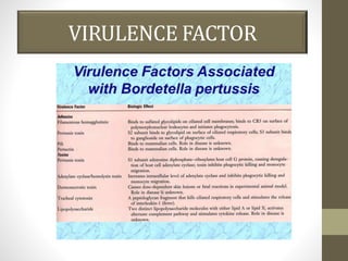 VIRULENCE FACTOR
 