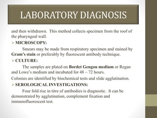 LABORATORY DIAGNOSIS
and then withdrawn. This method collects specimen from the roof of
the pharyngeal wall.
MICROSCOPY:
Smears may be made from respiratory specimen and stained by
Gram’s stain or preferably by fluorescent antibody technique.
CULTURE:
The samples are plated on Bordet Gengou medium or Regan
and Lowe’s medium and incubated for 48 – 72 hours.
Colonies are identified by biochemical tests and slide agglutination.
SEROLOGICAL INVESTIGATIONS:
Four fold rise in titre of antibodies is diagnostic. It can be
demonstrated by agglutination, complement fixation and
immunofluorescent test.
 