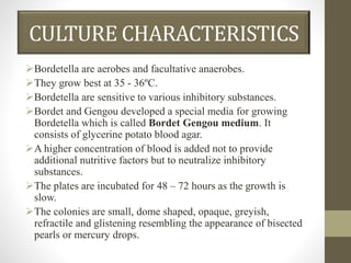 CULTURE CHARACTERISTICS
Bordetella are aerobes and facultative anaerobes.
They grow best at 35 - 36ºC.
Bordetella are sensitive to various inhibitory substances.
Bordet and Gengou developed a special media for growing
Bordetella which is called Bordet Gengou medium. It
consists of glycerine potato blood agar.
A higher concentration of blood is added not to provide
additional nutritive factors but to neutralize inhibitory
substances.
The plates are incubated for 48 – 72 hours as the growth is
slow.
The colonies are small, dome shaped, opaque, greyish,
refractile and glistening resembling the appearance of bisected
pearls or mercury drops.
 