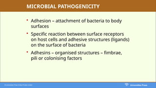 Adhesion Examples Infection Comprehensive Overview of Medical Parasitology and Bacteriology ...