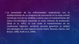 • La prevención de las enfermedades respiratorias con el
establecimiento de un programa de vacunación en la masa animal
constituye una de las medidas a tomar para el mantenimiento del
status microbiológico requerido en estos sistemas de producción
(Shek et al, 1991), lo cual unido al mantenimiento de las
condiciones higiénico- sanitarias permite garantizar la calidad
microbiológica de esta especie animal (Clark, Ransom, Katryn, and
Brown, 1996, Kraft et al, 1994).
 