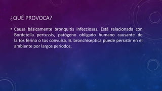 ¿QUÉ PROVOCA?
• Causa básicamente bronquitis infecciosas. Está relacionada con
Bordetella pertussis, patógeno obligado humano causante de
la tos ferina o tos convulsa. B. bronchiseptica puede persistir en el
ambiente por largos periodos.
 