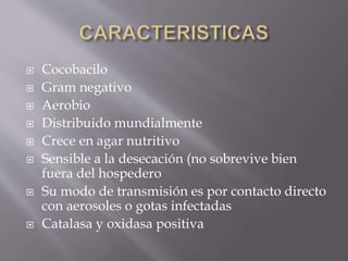  Cocobacilo
 Gram negativo
 Aerobio
 Distribuido mundialmente
 Crece en agar nutritivo
 Sensible a la desecación (no sobrevive bien
fuera del hospedero
 Su modo de transmisión es por contacto directo
con aerosoles o gotas infectadas
 Catalasa y oxidasa positiva
 