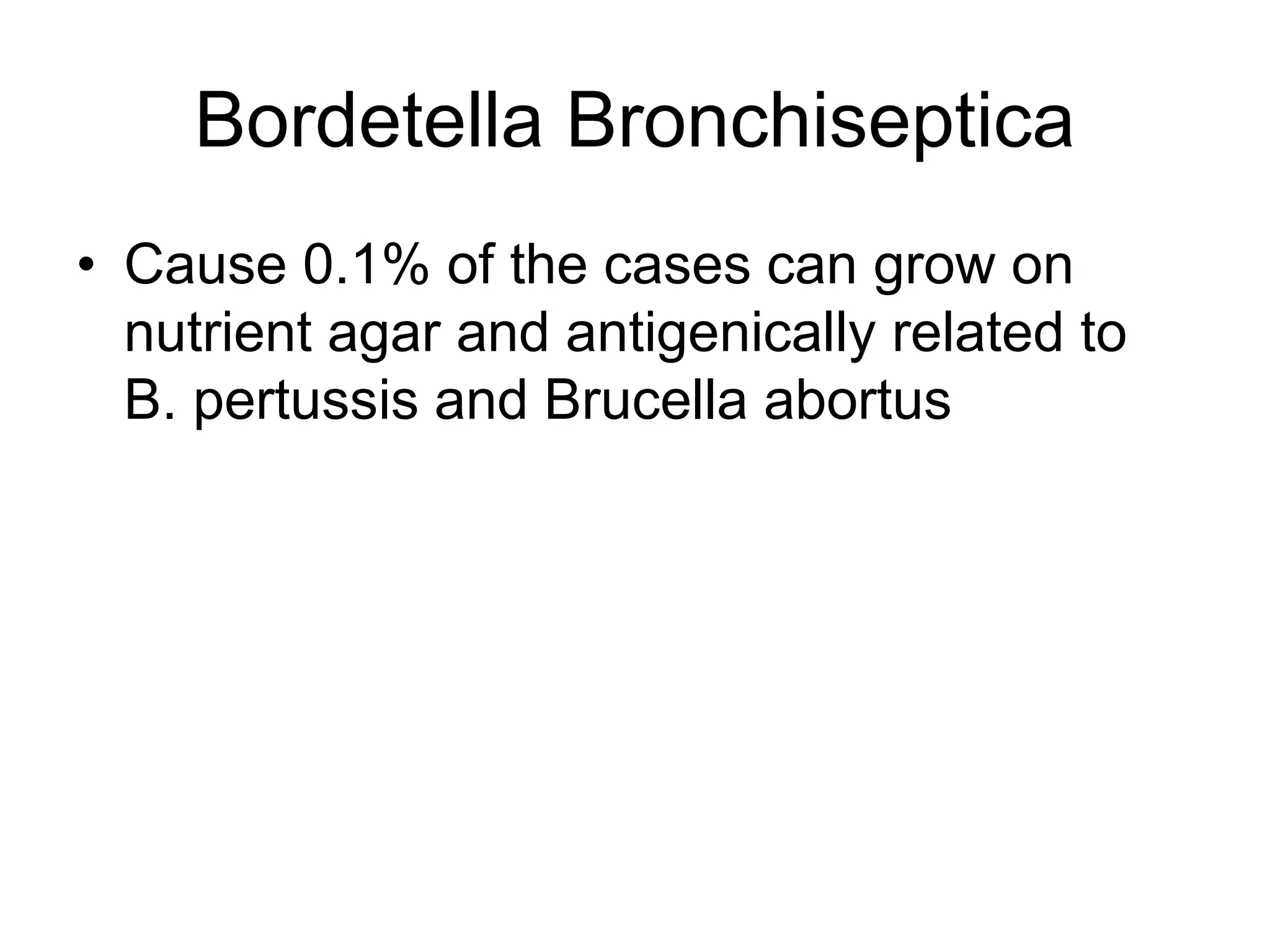Bordetella Bronchiseptica
• Cause 0.1% of the cases can grow on
nutrient agar and antigenically related to
B. pertussis and Brucella abortus
 