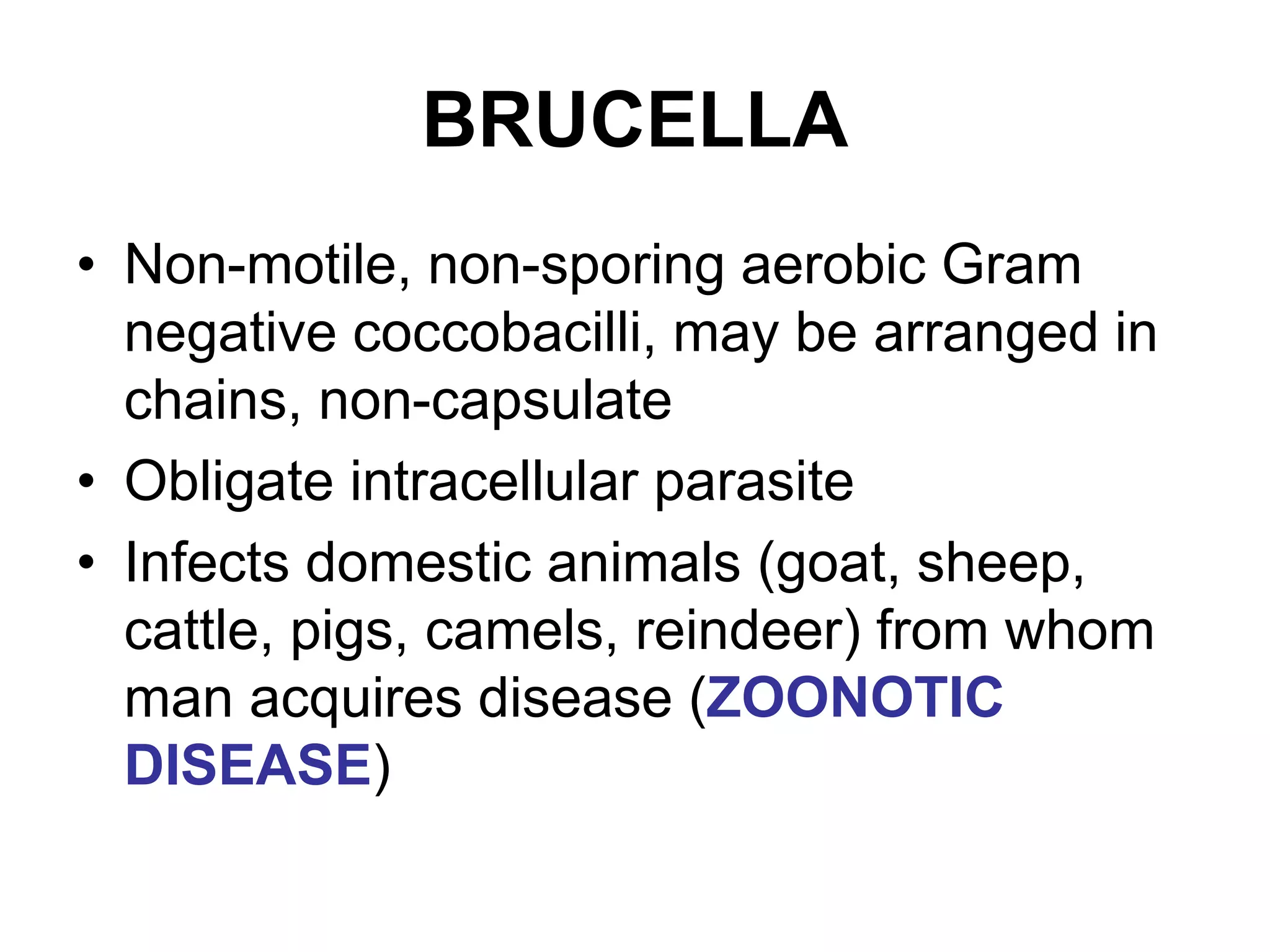BRUCELLA
• Non-motile, non-sporing aerobic Gram
negative coccobacilli, may be arranged in
chains, non-capsulate
• Obligate intracellular parasite
• Infects domestic animals (goat, sheep,
cattle, pigs, camels, reindeer) from whom
man acquires disease (ZOONOTIC
DISEASE)
 