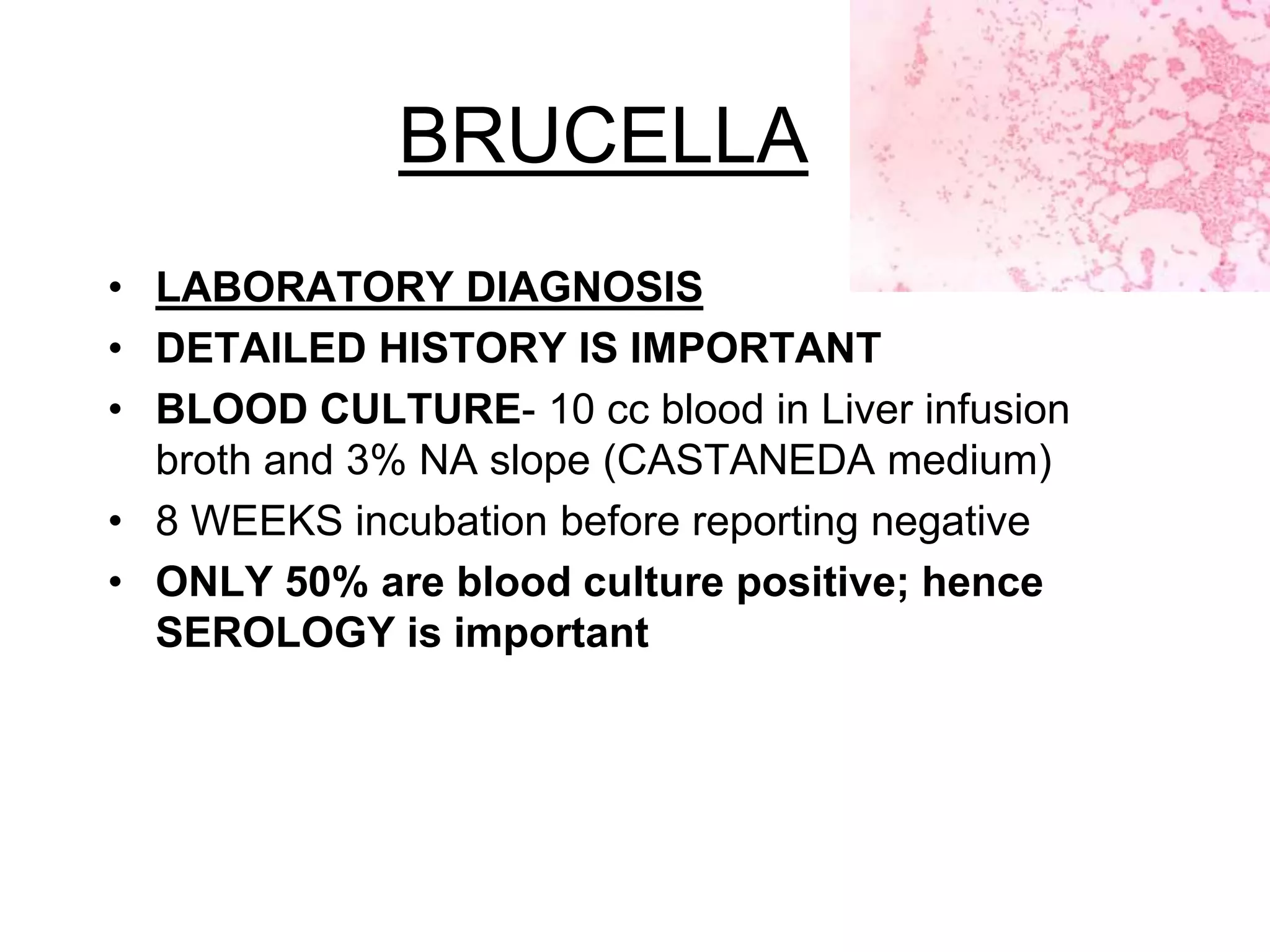 BRUCELLA
• LABORATORY DIAGNOSIS
• DETAILED HISTORY IS IMPORTANT
• BLOOD CULTURE- 10 cc blood in Liver infusion
broth and 3% NA slope (CASTANEDA medium)
• 8 WEEKS incubation before reporting negative
• ONLY 50% are blood culture positive; hence
SEROLOGY is important
 