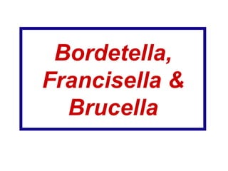 Bordetella, Francisella & Brucella 