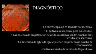 DIAGNÓSTICO.
• La microscopia no es sensible ni específica.
• El cultivo es específico, pero no sensible.
• Las pruebas de amplificación de ácidos nucleicos son las pruebas más
sensibles y específicas.
• La detección de IgG y de IgA se pueden emplear como prueba de
confirmación.
• Cultivo en medio de carbón de Regan-Lowe
 