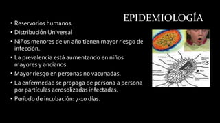 EPIDEMIOLOGÍA• Reservorios humanos.
• Distribución Universal
• Niños menores de un año tienen mayor riesgo de
infección.
• La prevalencia está aumentando en niños
mayores y ancianos.
• Mayor riesgo en personas no vacunadas.
• La enfermedad se propaga de persona a persona
por partículas aerosolizadas infectadas.
• Período de incubación: 7-10 días.
 