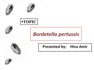 Bordetella pertussis
Presented by: Hina Amir
TOPIC
 