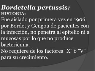 Bordetella pertussis:
HISTORIA:
Fue aislado por primera vez en 1906
por Bordet y Gengou de pacientes con
la infección, no penetra al epitelio ni a
mucosas por lo que no produce
bacteriemia.
No requiere de los factores "X" ó "V"
para su crecimiento.
 