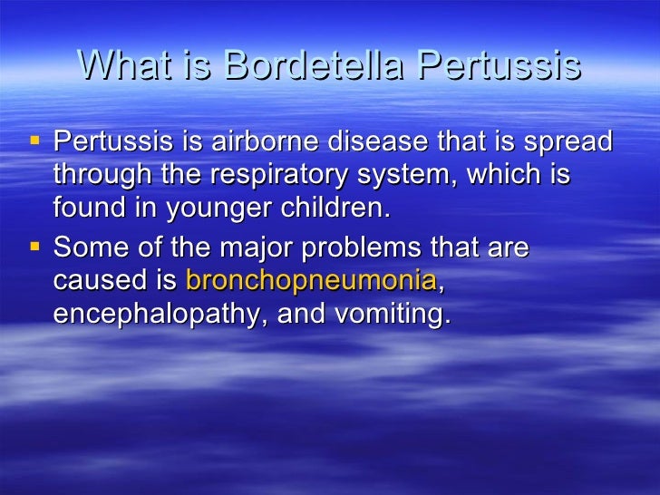 Bordetella pertussis