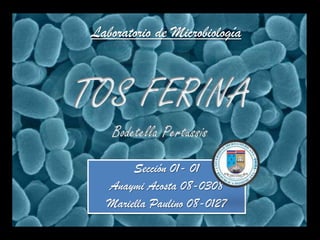 Laboratorio de Microbiología TOS FERINABodetellaPertussis Sección 01- 01 Anaymi Acosta 08-0308 Mariella Paulino 08-0127 